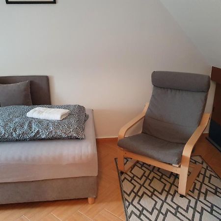 Enjoy 110Qm Apartment Im Historischen Zentrum Шопрон Екстериор снимка