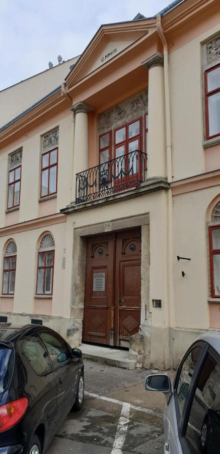 Enjoy 110Qm Apartment Im Historischen Zentrum Шопрон Екстериор снимка