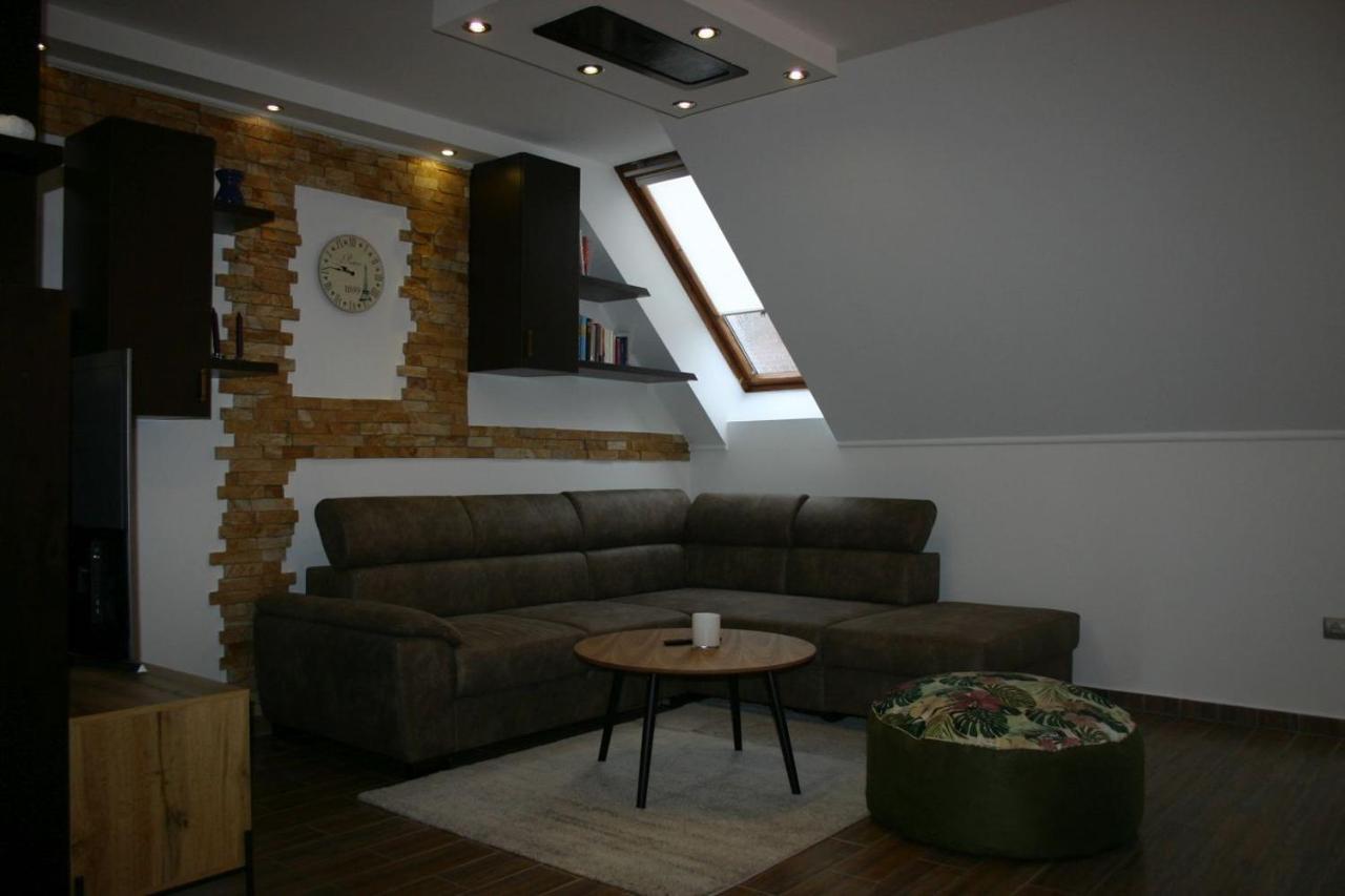 Enjoy 110Qm Apartment Im Historischen Zentrum Шопрон Екстериор снимка